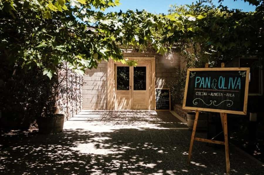 From Mendoza: Tasting tour to Maipu with Trapiche Winery - Why Maipú makes a good first wine day