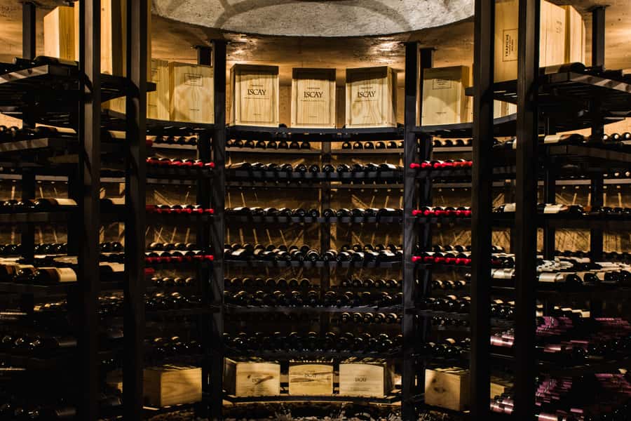 From Mendoza: Tasting tour to Maipu with Trapiche Winery - Antigal adds a second historic viewpoint