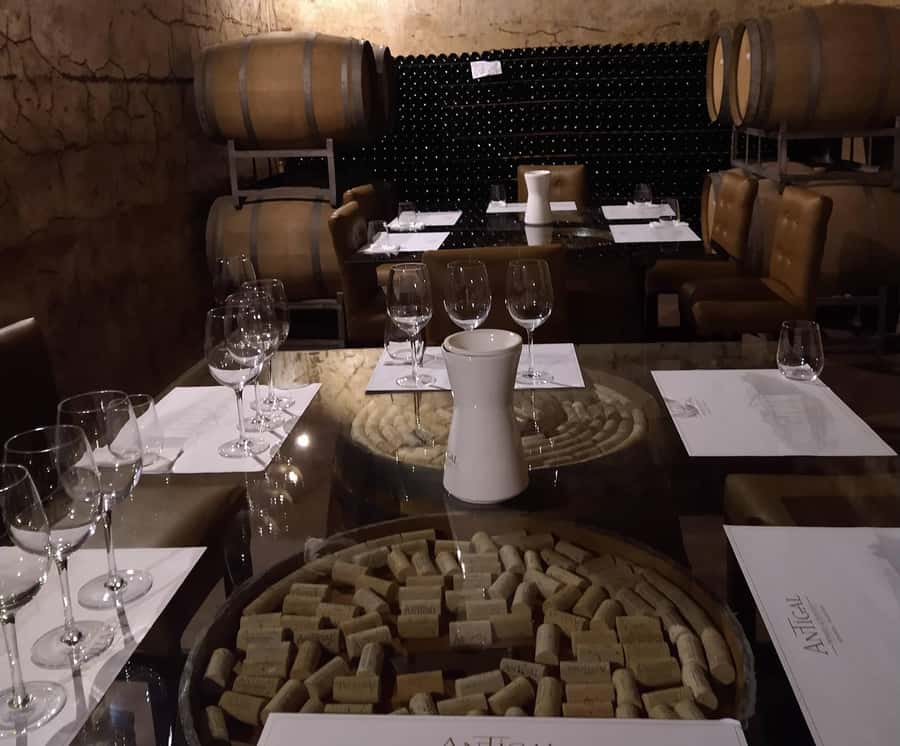 From Mendoza: Tasting tour to Maipu with Trapiche Winery - Pan & Oliva turns lunch into a major stop