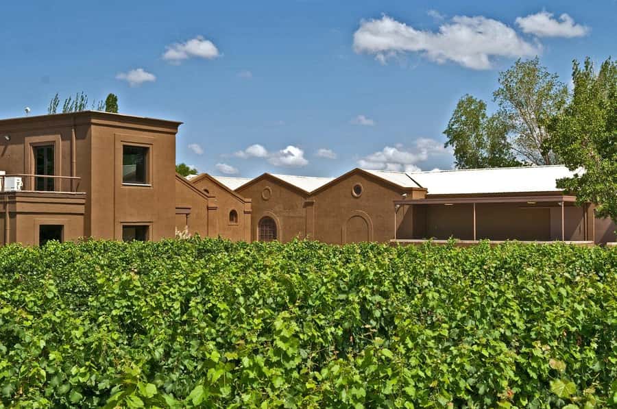 From Mendoza: Tasting tour to Maipu with Trapiche Winery - Is $225 a fair price?