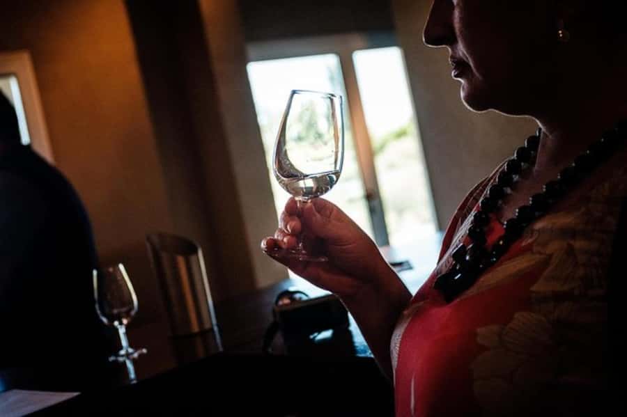 From Mendoza: Tasting tour to Maipu with Trapiche Winery - Starting from five Mendoza hotels