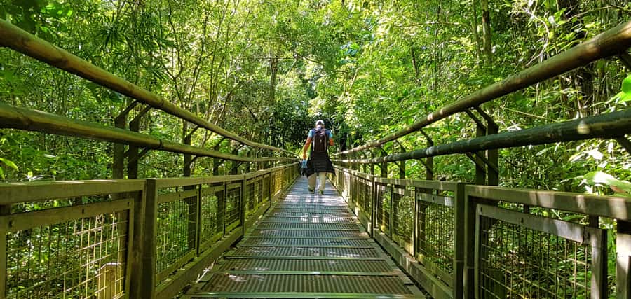 From Puerto Iguazu: Argentinian Iguazu Falls with Boat Ride - Is $197 a fair price?