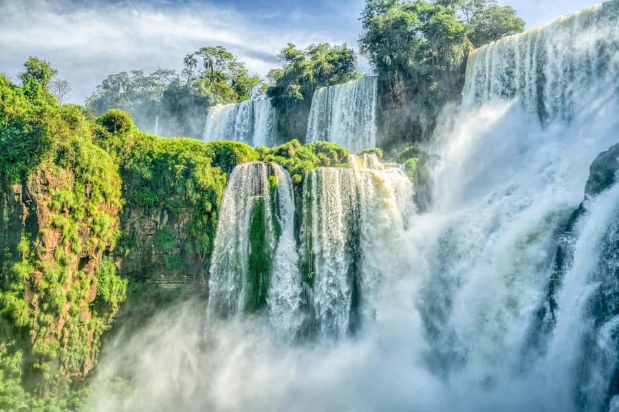 From Puerto Iguazu: Argentinian Iguazu Falls with Ticket - The Visitor’s Center and first look at the jungle