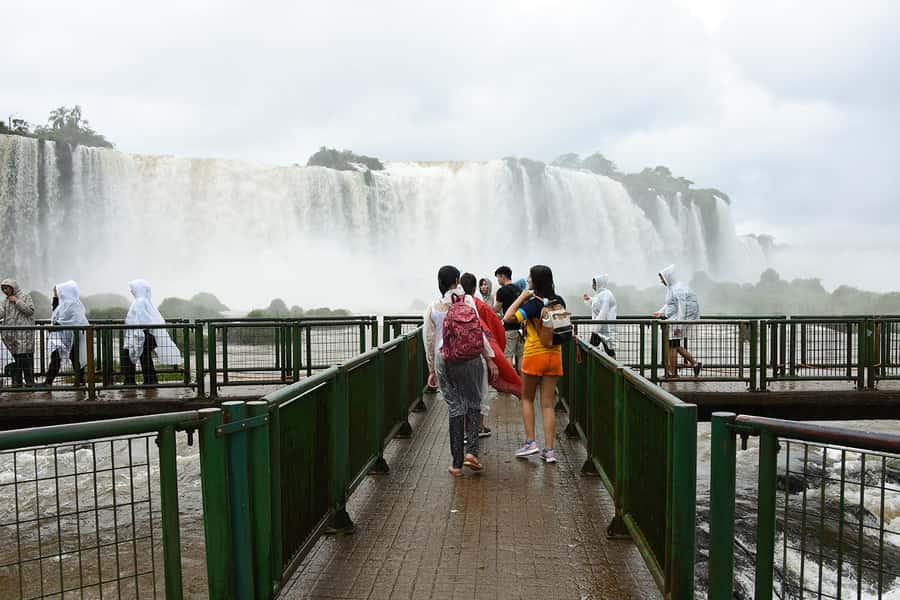 From Puerto Iguazu: Half-Day Brazilian Falls Excursion - Jungle trails, spray, and wildlife