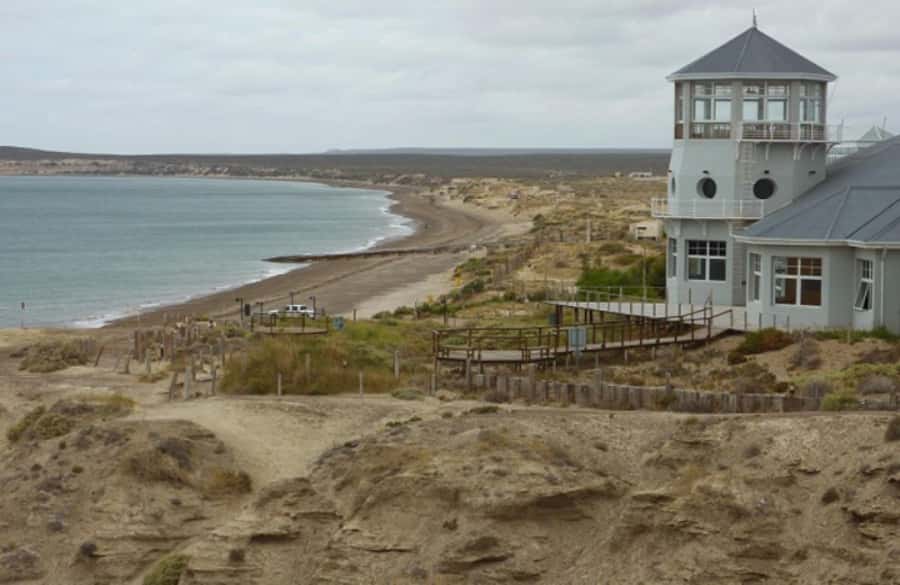 From Puerto Madryn: City and Punta Loma Tour - A brisk look at Puerto Madryn’s center