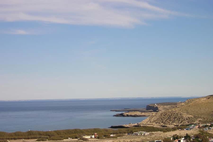 From Puerto Madryn: Full Day Excursion to Punta Tombo - The long road from Puerto Madryn to Punta Tombo