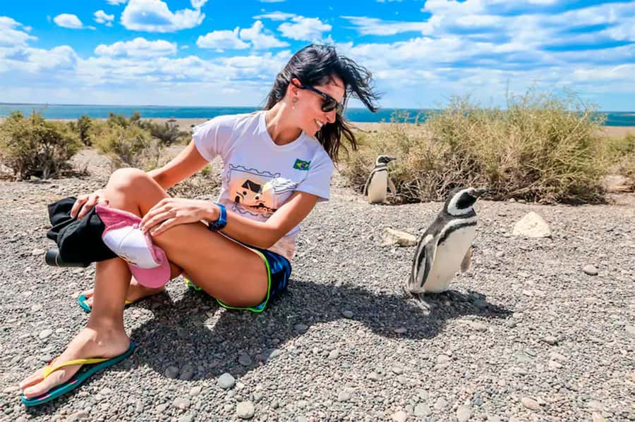 From Puerto Madryn: Full Day Excursion to Punta Tombo - Walking through the Magellanic penguin colony