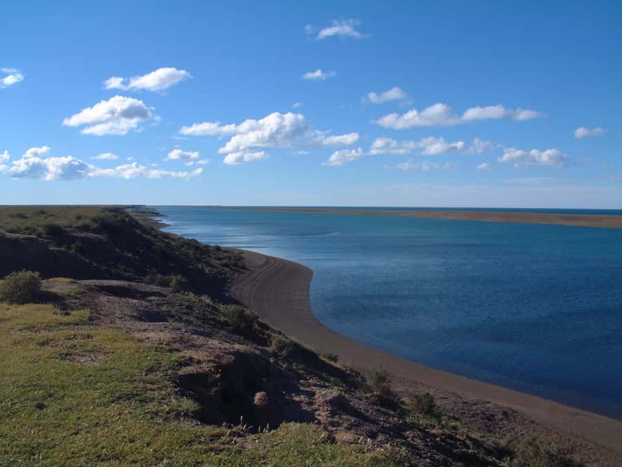 From Puerto Madryn: Full-Day Valdes Peninsula Tour - Punta Delgada and the coastal wildlife route