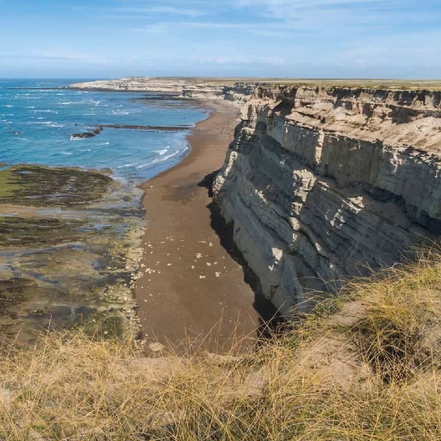 From Puerto Madryn: Peninsula Valdés Shore Excursion - Key points to know before you go