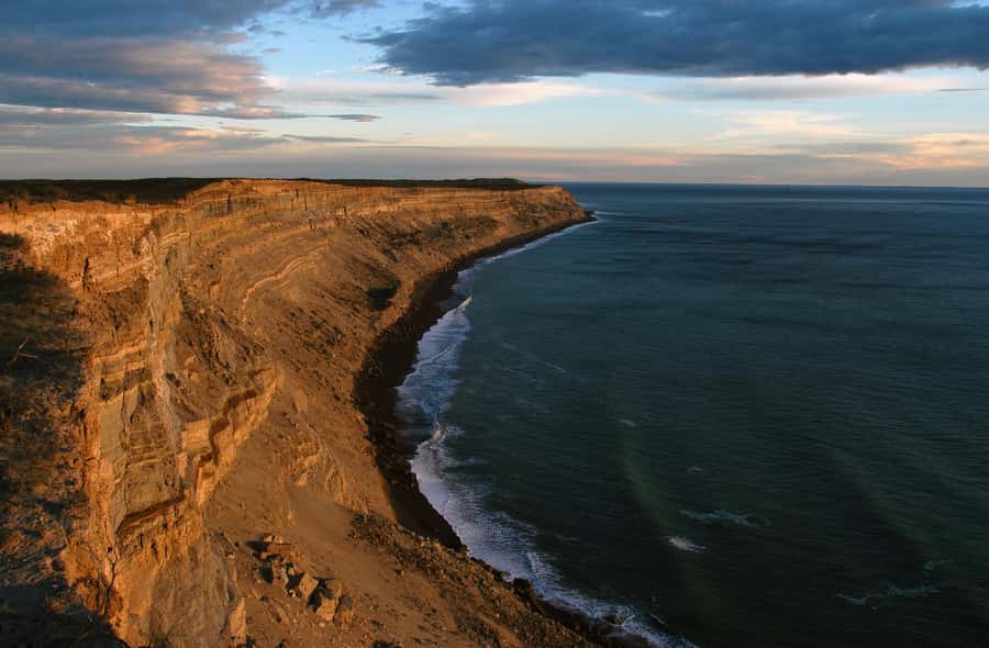 From Puerto Madryn: Valdes Peninsula Full-Day Tour - Key points to know before booking
