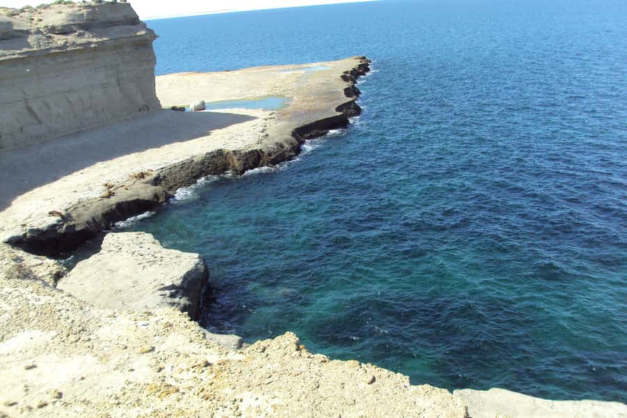 From Puerto Madryn: Valdes Peninsula Full-Day Tour - The early start and the ride from Puerto Madryn