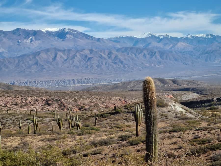From Salta: 2-Day Guided Trip to Cafayate and Cachi - Five details to know before you book
