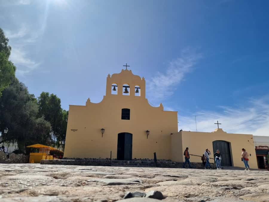 From Salta: 2-Day Guided Trip to Cafayate and Cachi - A Cafayate winery and the case for Torrontés