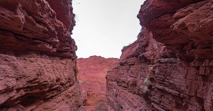 From Salta: 2 Day Guided Trip to Cafayate & Salinas Grandes - Salinas Grandes: the trip’s most unusual sight