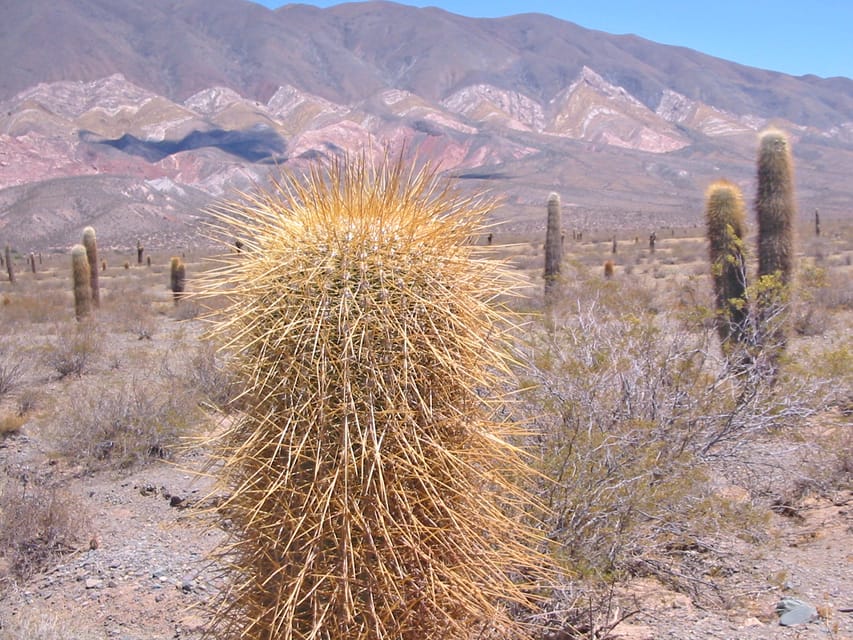 From Salta: 3-Day Cafayate, Cachi, and Humahuaca Guided Trip - What this three-day route really offers
