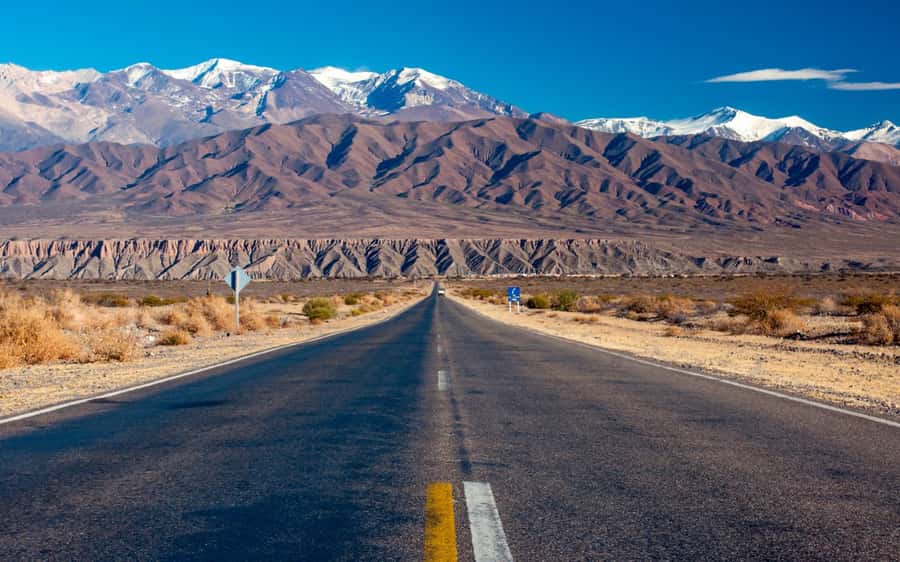 From Salta: Cachi and Los Cardones National Park Tour - Why this route is special