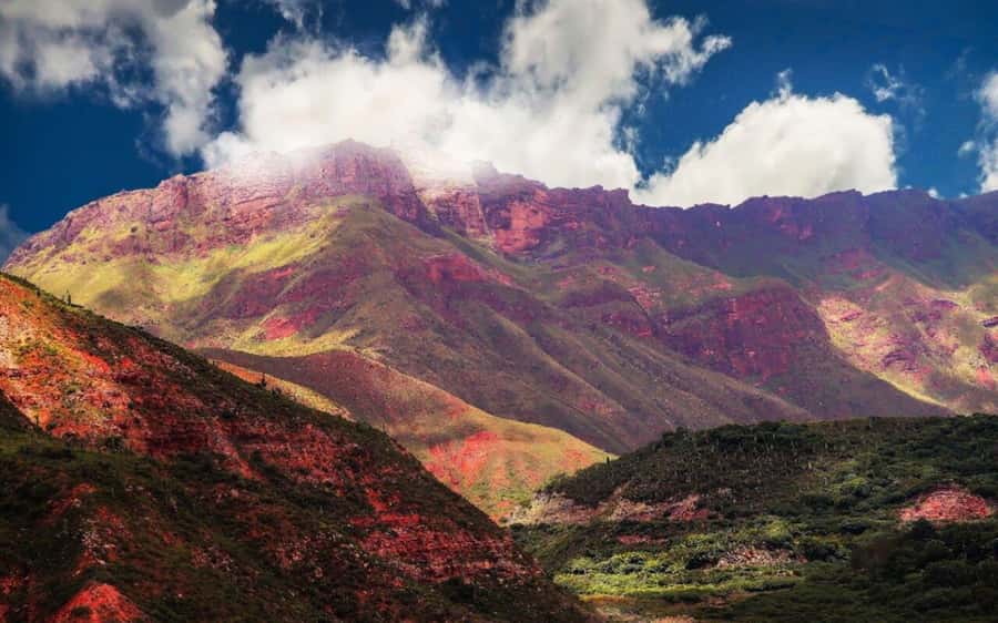 From Salta: Cachi and Los Cardones National Park Tour - Los Cardones National Park and the giant cacti
