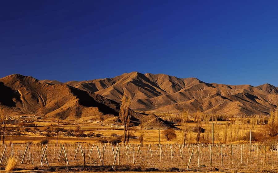 From Salta: Cachi and Los Cardones National Park Tour - From the Lerma Valley into Escoipe Gorge