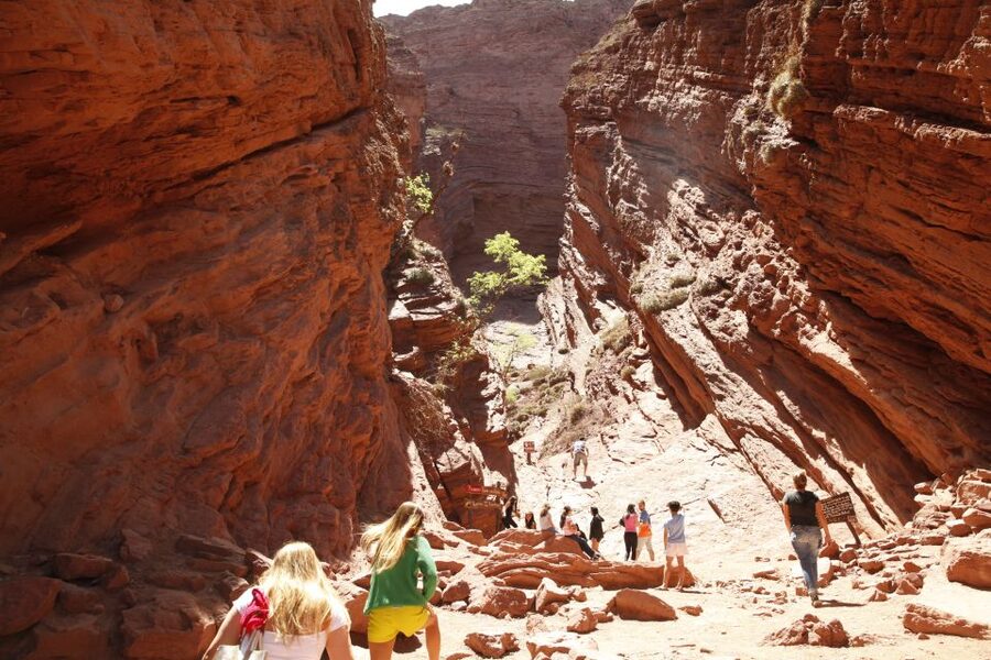 From Salta: Cafayate and Hornocal 2-Day Tour with Transfer - Cafayate, Torrontés, and one winery