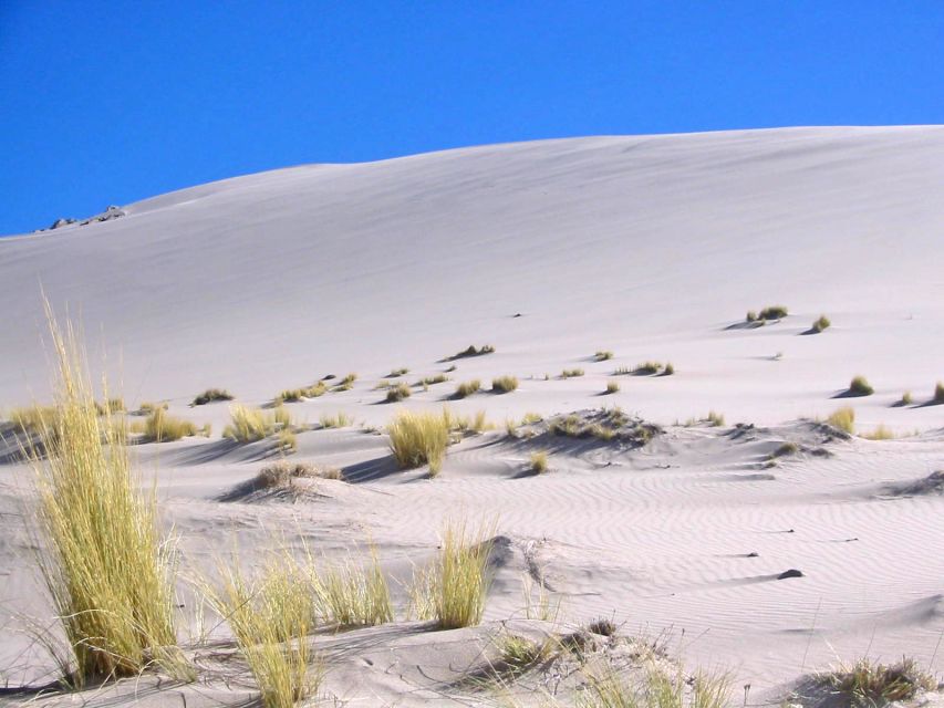 From Salta: Cafayate and Hornocal 2-Day Tour with Transfer - Hornocal and the Hill of Fourteen Colors