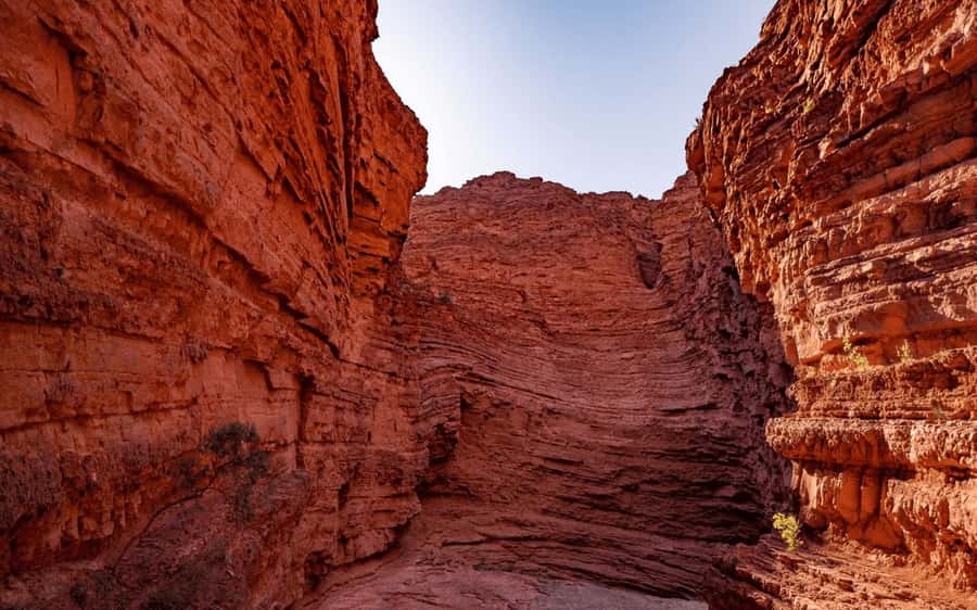 From Salta:Cafayate and the imposing Quebrada de las Conchas - Two hours in Cafayate: lunch, a walk, and realistic expectations