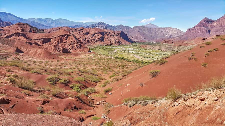 From Salta: Cafayate Day Trip with Wine Tasting - How good is the English guiding?