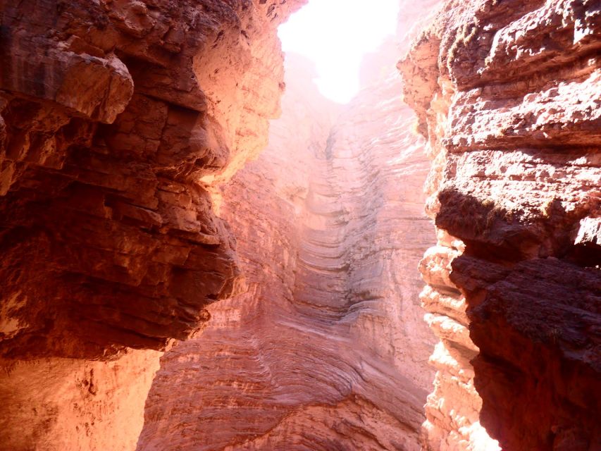From Salta: Cafayate, Humahuaca & Salinas Grandes 3-Day Tour - The guides and the minivan experience
