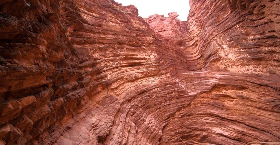From Salta: Cafayate, Humahuaca & Salinas Grandes 3-Day Tour - Who should book this trip?