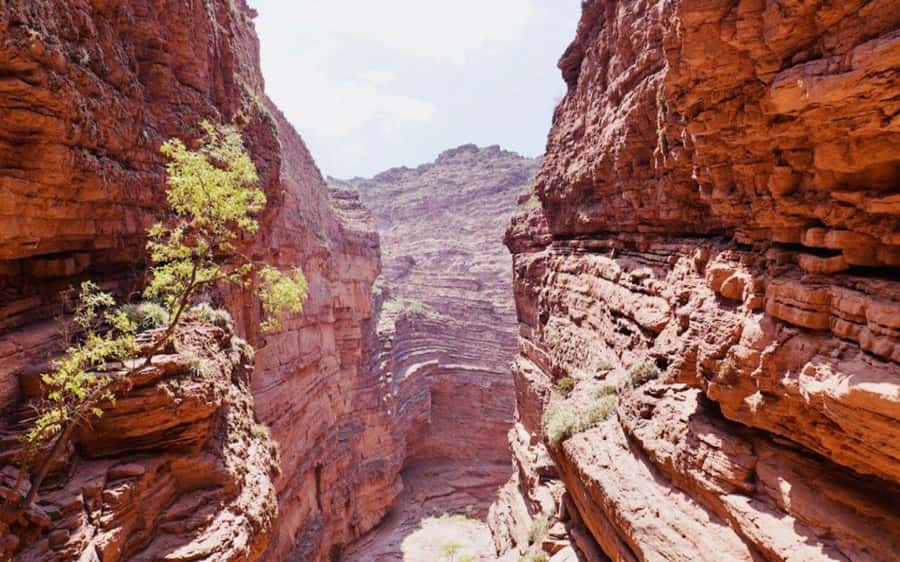 From Salta: Cafayate, land of wines and imposing ravines - Tres Cruces and the smaller formations