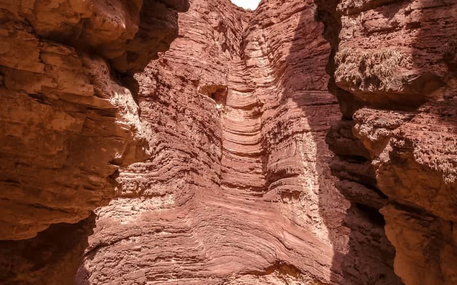 From Salta: Cafayate, land of wines and imposing ravines - La Yesera and the colors of Las Conchas Gorge
