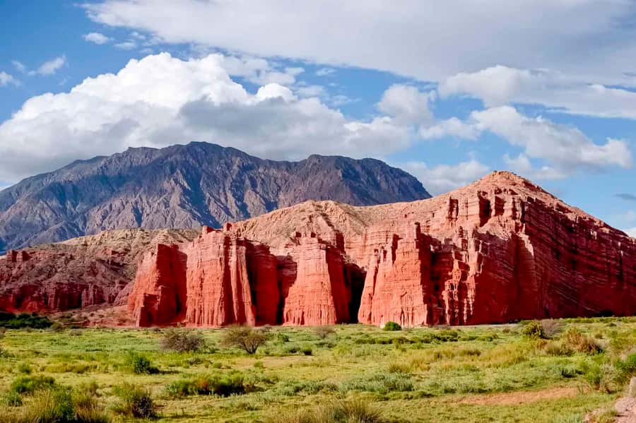 From Salta: Day Trip to Cachi and the Calchaquí Valleys - Walking in Los Cardones National Park