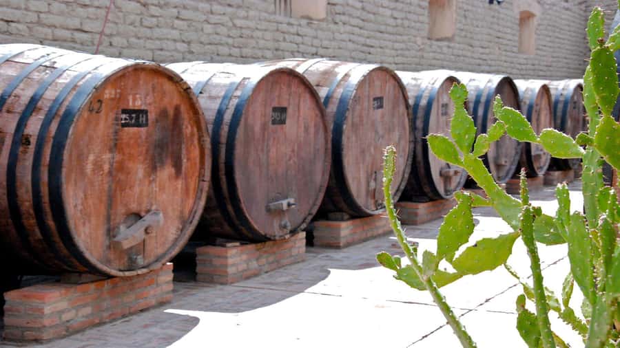 From Salta: Day Trip to Cafayate - The return to Salta in different light