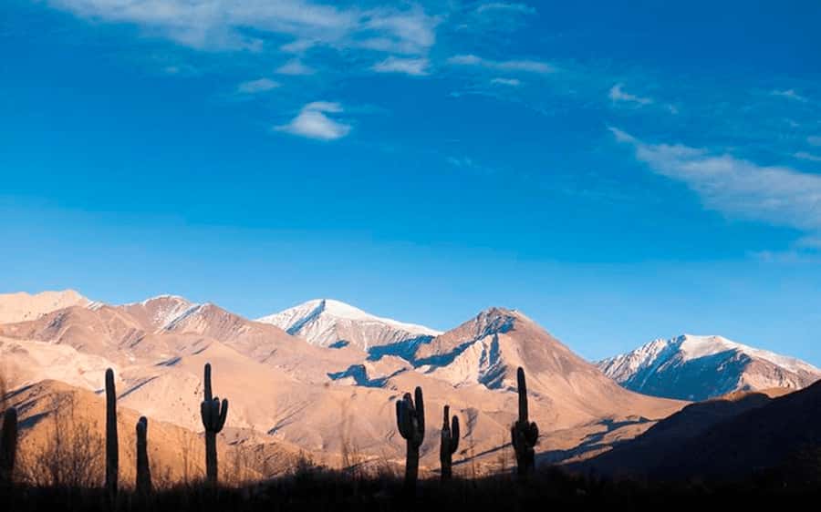 From Salta: Full-day excursions through Cachi and Humahuaca - Los Cardones National Park and the Inca road