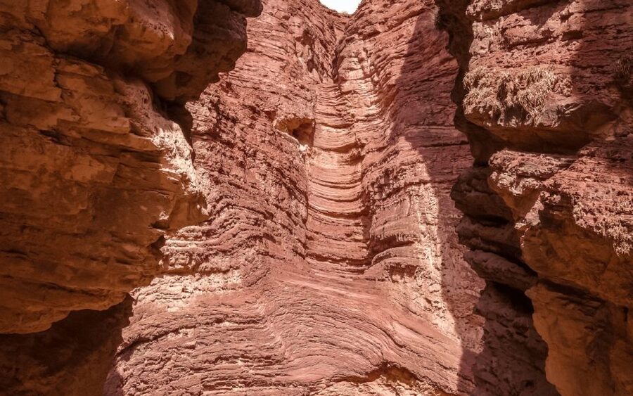 From Salta: Full-day excursions through Cafayate and Cachi - Who will get the most from this $56 package?