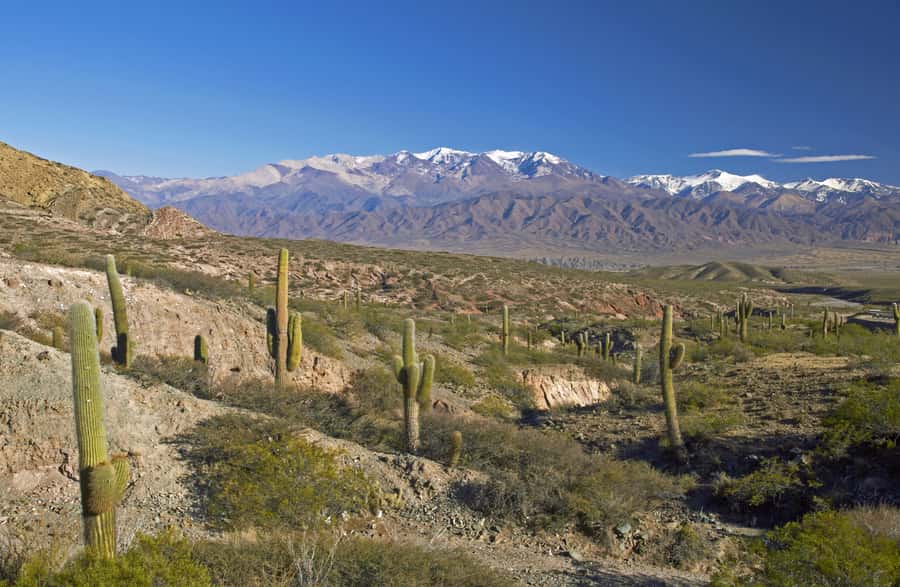 From Salta: Full-Day Scenic Tour to Cachi - Why the route from Salta to Cachi is worth your time