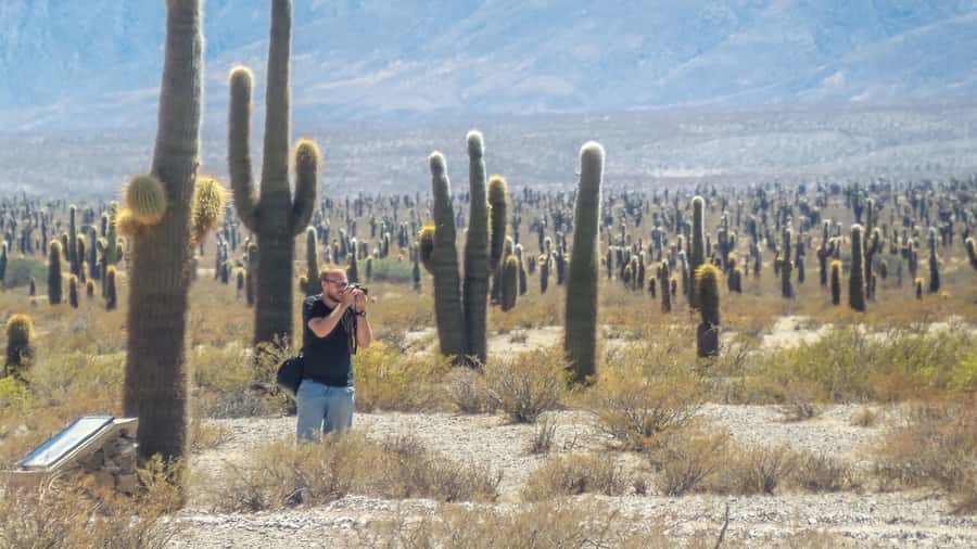 From Salta: Full-Day Scenic Tour to Cachi - Cachi: lunch, colonial streets, and local crafts