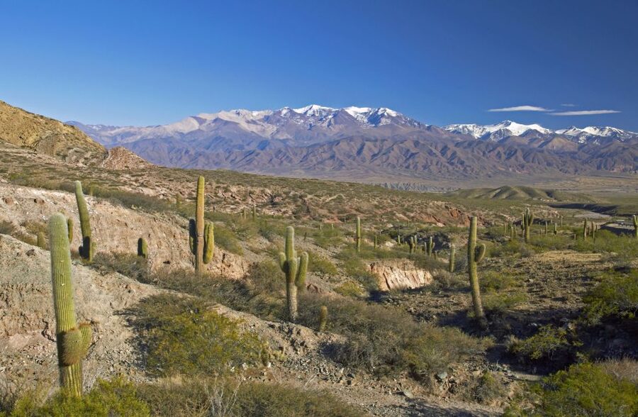 From Salta: Full-Day Scenic Tour to Cachi - Guides can make a very long day easier