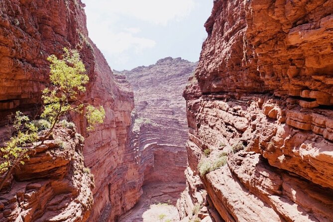 From Salta: Full-Day Tour to Cafayate, Land of Wines - Arriving in Cafayate for wine and lunch