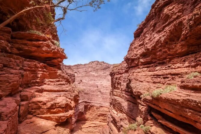 From Salta: Full-Day Tour to Cafayate, Land of Wines - Who will enjoy this day most