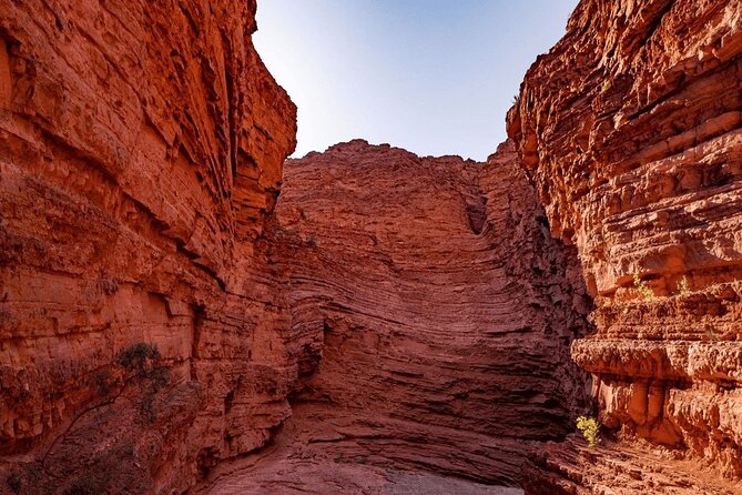 From Salta: Full-Day Tour to Cafayate, Land of Wines - FAQ