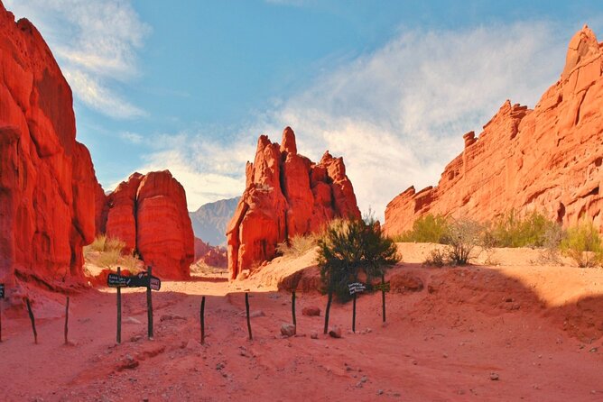 From Salta: Full-Day Tour to Cafayate, Land of Wines - The rock formations along Route 68