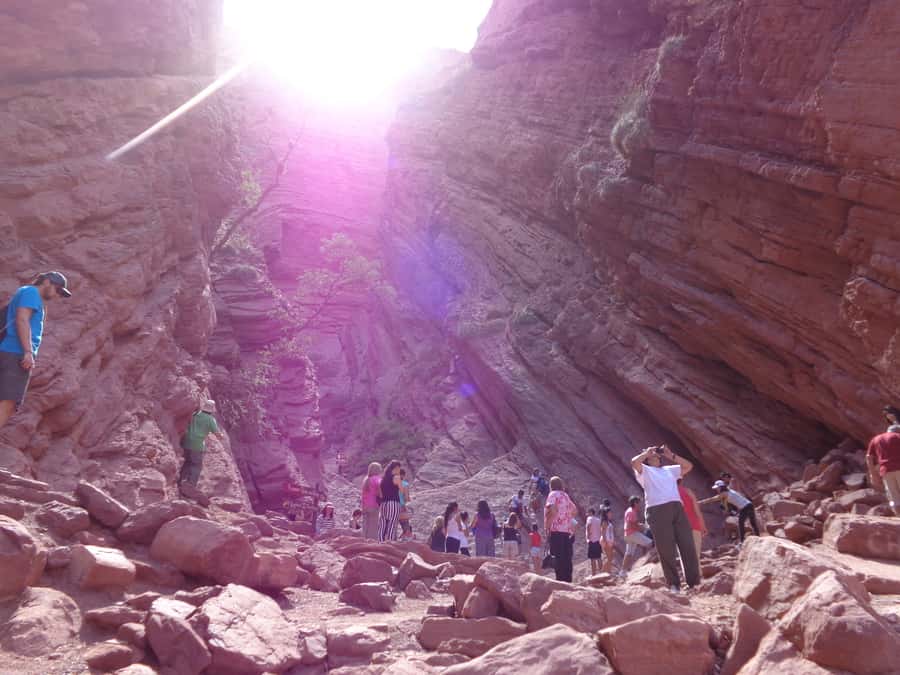 From Salta: Full-Day Tour to Cafayate with Wine Tasting - Leaving Salta through the tobacco fields