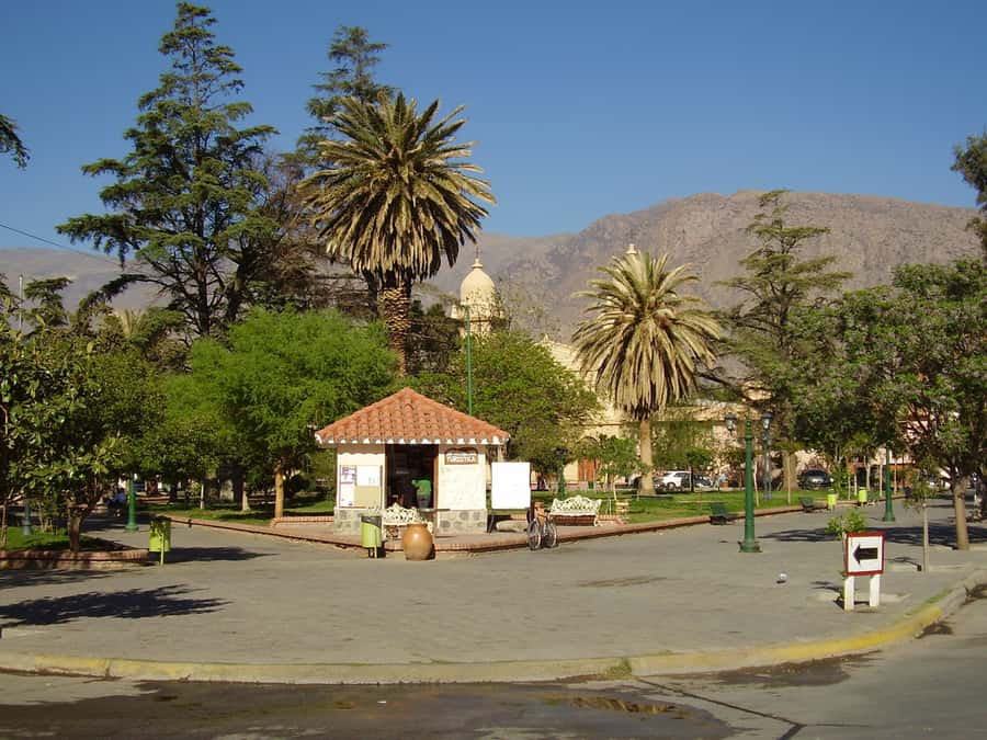From Salta: Full-Day Tour to Cafayate with Wine Tasting - What the $29 price really buys you