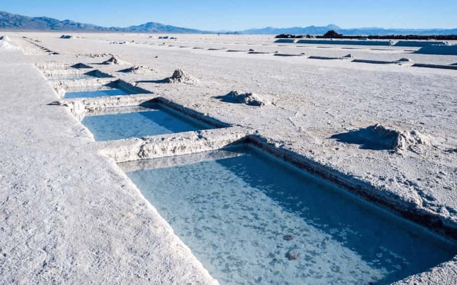 From Salta: Full-Day Tours of Cafayate and Salinas Grandes - The winery stop in Cafayate