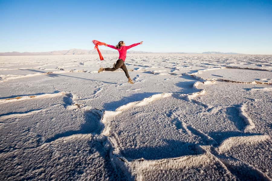 From Salta: Great Salt Flats Day Tour - The white expanse of Salinas Grandes