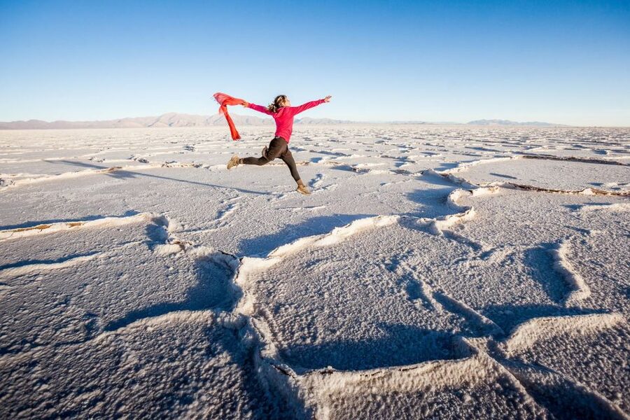 From Salta: Great Salt Flats Day Tour - Cuesta de Lipán and the search for condors