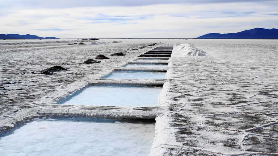 From Salta: Great Salt Flats Day Tour - Purmamarca and Cerro de los Siete Colores