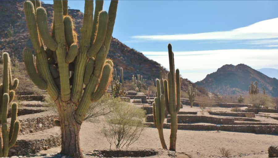 From Tucumán: Tafí del Valle, Quilmes Ruins and Cafayate - The early pickup from central Tucumán