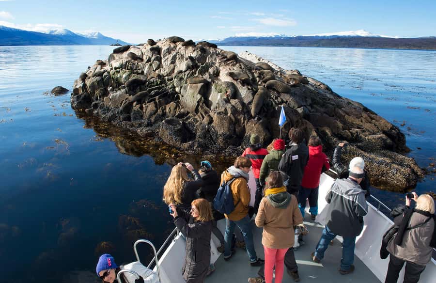 From Ushuaia: Beagle Channel Yacht Sailing Tour - A yacht ride across Ushuaia Bay