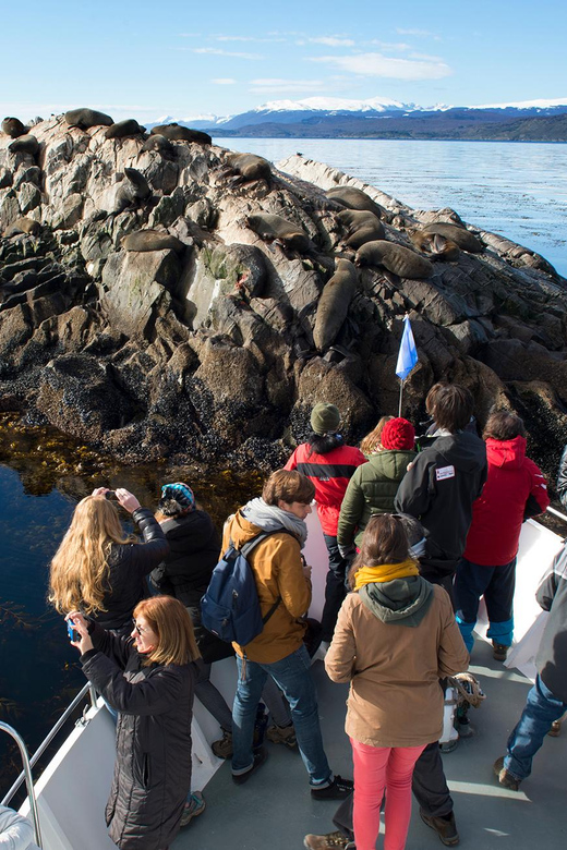 From Ushuaia: Beagle Channel Yacht Sailing Tour - Cormorants on the rocky cliffs